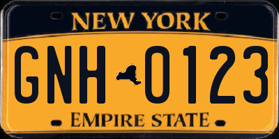 NY license plate GNH0123