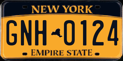 NY license plate GNH0124