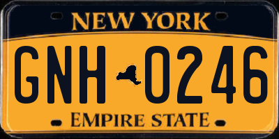 NY license plate GNH0246