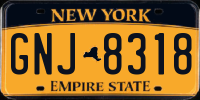 NY license plate GNJ8318