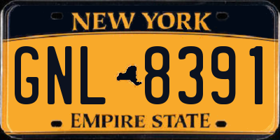 NY license plate GNL8391