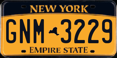 NY license plate GNM3229