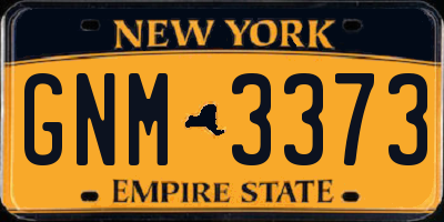 NY license plate GNM3373