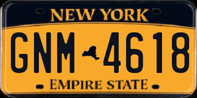 NY license plate GNM4618