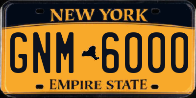 NY license plate GNM6000