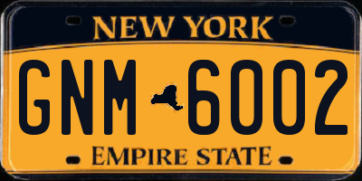 NY license plate GNM6002