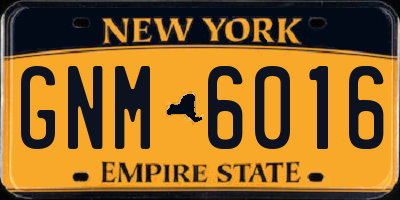NY license plate GNM6016