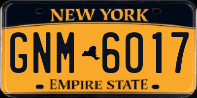 NY license plate GNM6017
