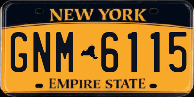 NY license plate GNM6115