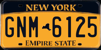 NY license plate GNM6125