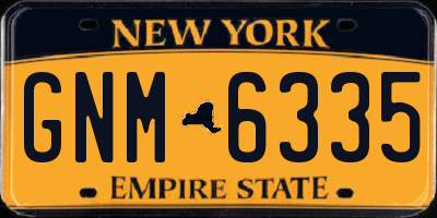 NY license plate GNM6335