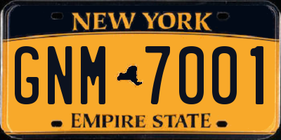 NY license plate GNM7001