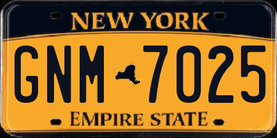 NY license plate GNM7025