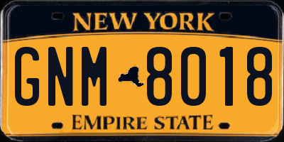 NY license plate GNM8018