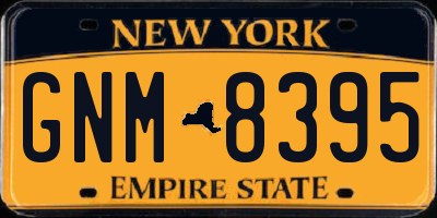 NY license plate GNM8395