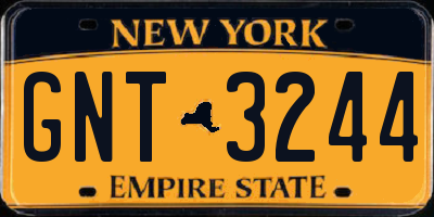 NY license plate GNT3244