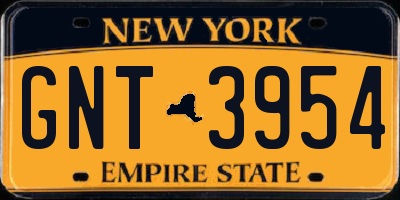 NY license plate GNT3954