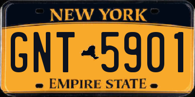 NY license plate GNT5901
