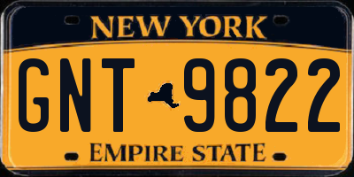 NY license plate GNT9822