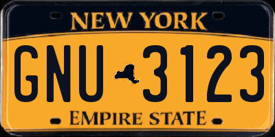 NY license plate GNU3123