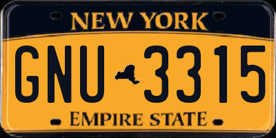 NY license plate GNU3315