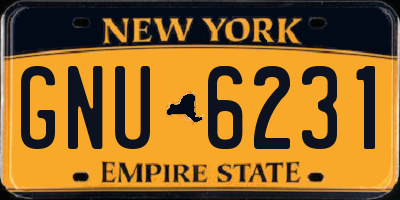 NY license plate GNU6231