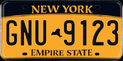 NY license plate GNU9123