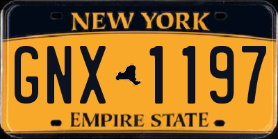 NY license plate GNX1197