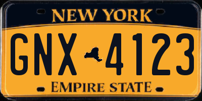 NY license plate GNX4123