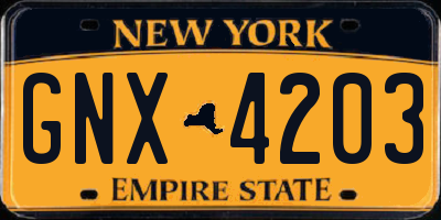 NY license plate GNX4203