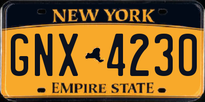 NY license plate GNX4230