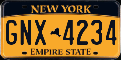 NY license plate GNX4234