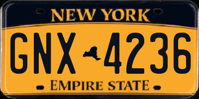 NY license plate GNX4236