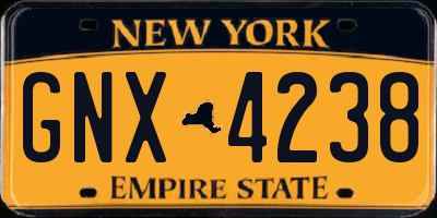 NY license plate GNX4238