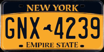 NY license plate GNX4239
