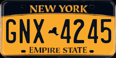NY license plate GNX4245