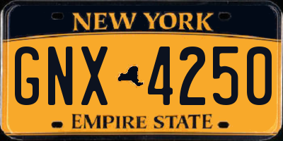 NY license plate GNX4250