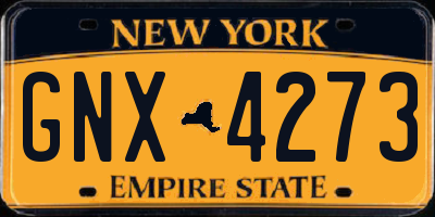 NY license plate GNX4273