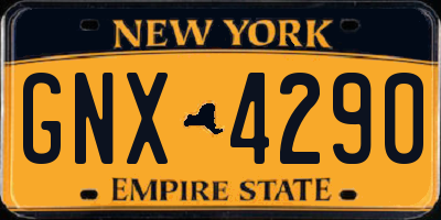 NY license plate GNX4290
