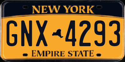NY license plate GNX4293