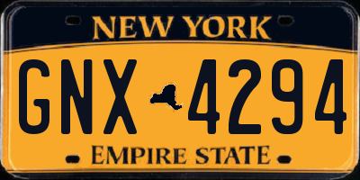 NY license plate GNX4294
