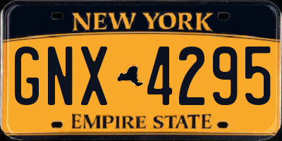 NY license plate GNX4295