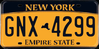 NY license plate GNX4299