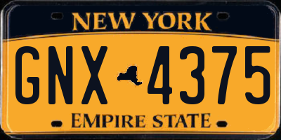 NY license plate GNX4375