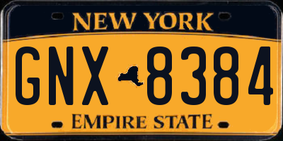 NY license plate GNX8384
