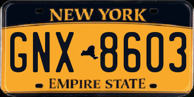 NY license plate GNX8603