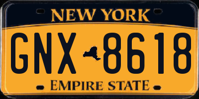 NY license plate GNX8618