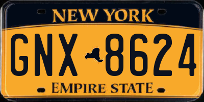 NY license plate GNX8624