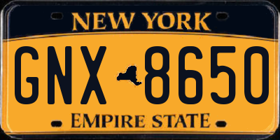NY license plate GNX8650