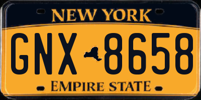 NY license plate GNX8658